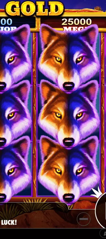 screen